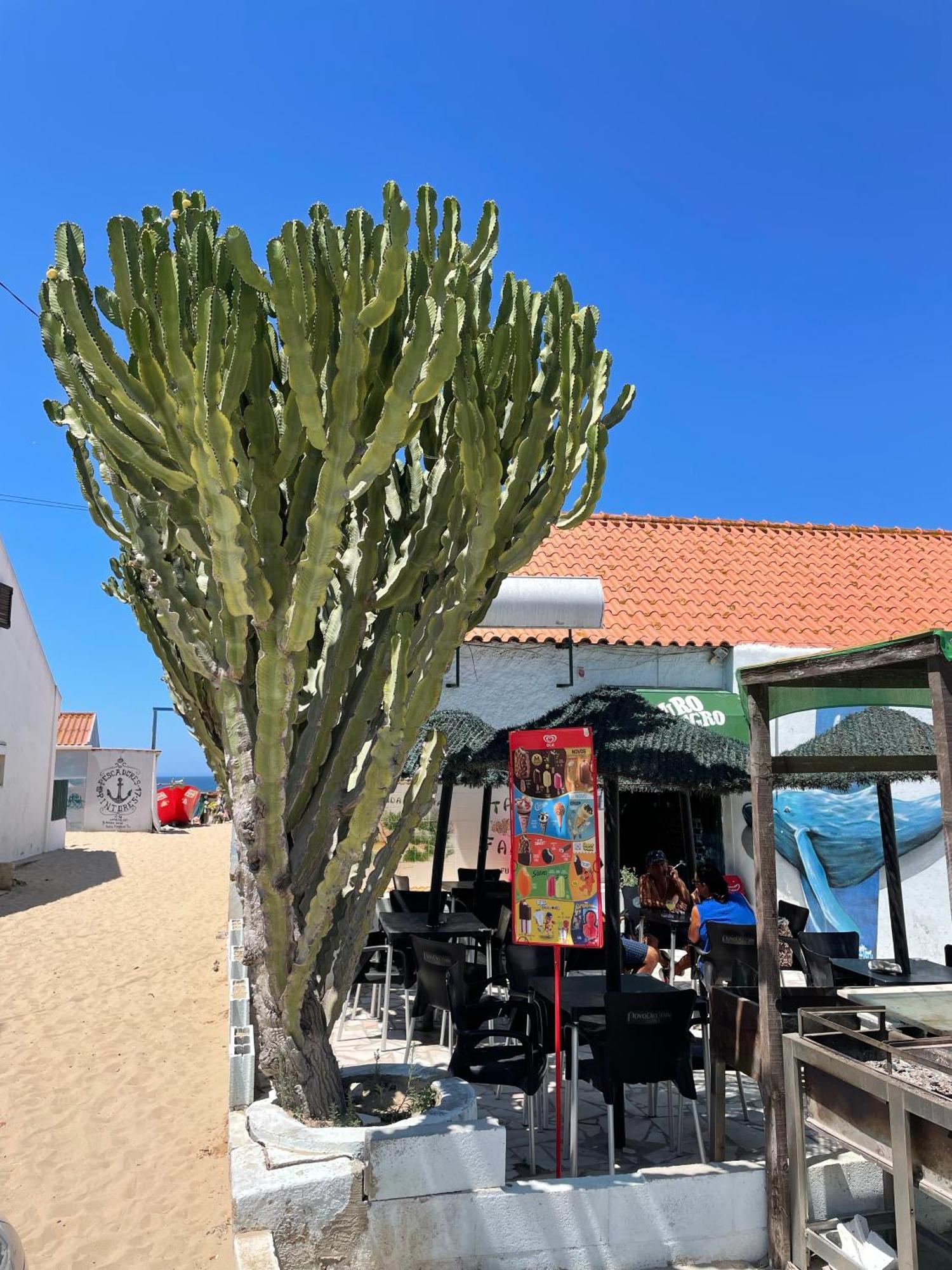 Sea View & Sundown, 150M From The Beach And Surf Spots Costa da Caparica Extérieur photo